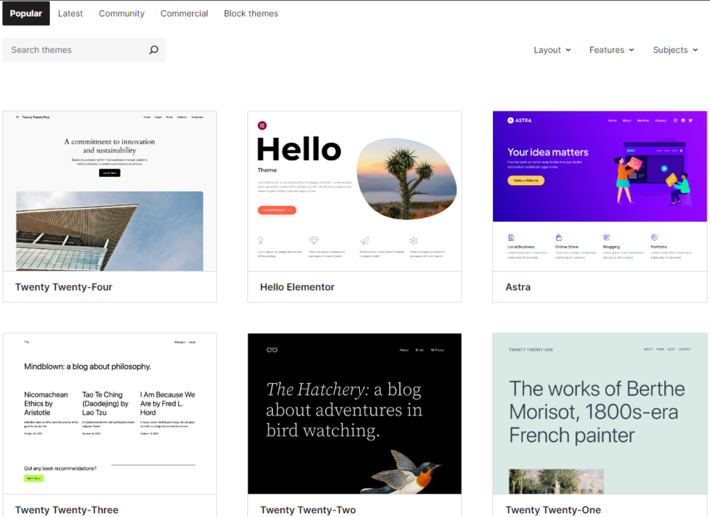 WordPress Theme